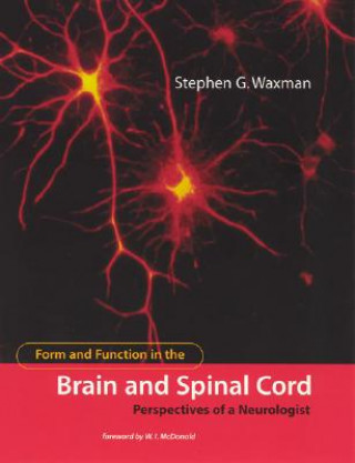 Könyv Form and Function in the Brain and Spinal Cord Stephen G. Waxman