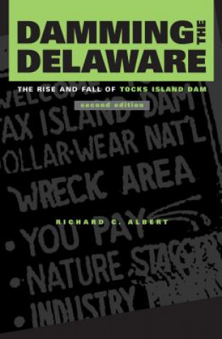 Kniha Damming the Delaware Richard C. Albert