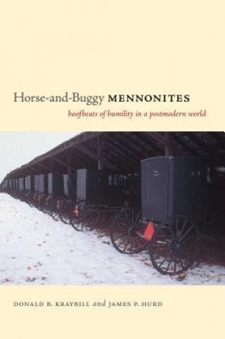 Kniha Horse-and-Buggy Mennonites Donald B. Kraybill