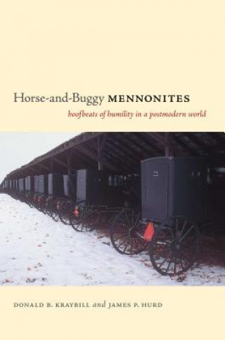 Livre Horse-and-Buggy Mennonites Donald B. Kraybill