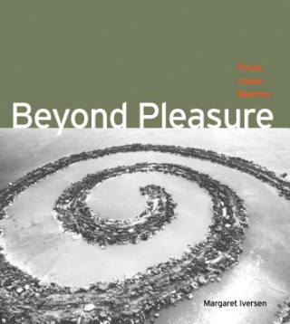 Carte Beyond Pleasure Margaret Iversen