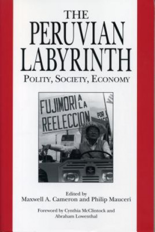 Buch Peruvian Labyrinth Maxwell A. Cameron