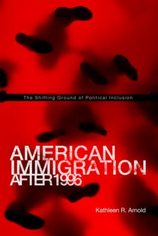 Kniha American Immigration After 1996 Kathleen R. Arnold