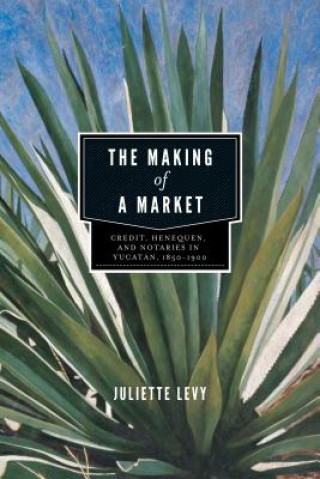 Carte Making of a Market Juliette Levy