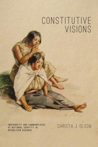 Book Constitutive Visions Christa J. Olson