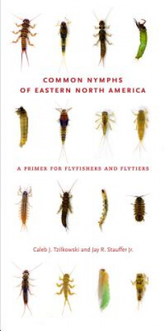 Knjiga Common Nymphs of Eastern North America Caleb J. Tzilkowski