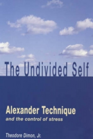 Book Undivided Self Theodore Dimon