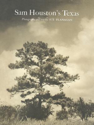 Könyv Sam Houston's Texas Sue Flanagan