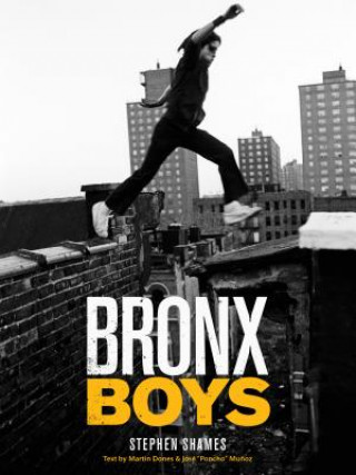 Book Bronx Boys Stephen Shames