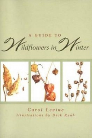 Könyv Guide to Wildflowers in Winter Carol Levine