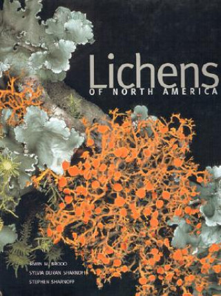 Carte Lichens of North America Irwin M. Brodo
