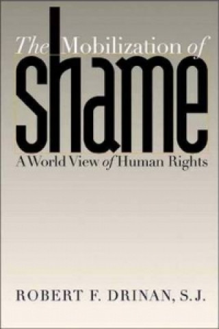 Kniha Mobilization of Shame Robert F. Drinan