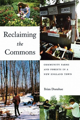 Buch Reclaiming the Commons Brian Donahue