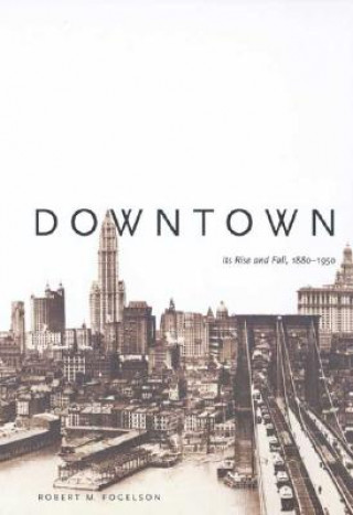 Knjiga Downtown Robert M. Fogelson