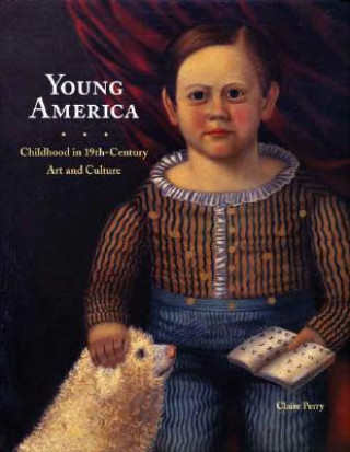 Книга Young America Claire Perry