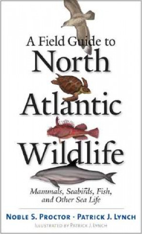 Kniha Field Guide to North Atlantic Wildlife Noble S. Proctor