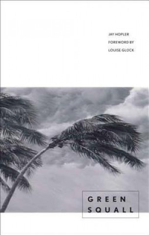 Knjiga Green Squall Jay Hopler
