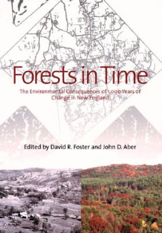 Könyv Forests in Time David R. Foster