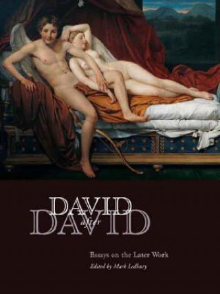 Kniha David after David Mark Ledbury
