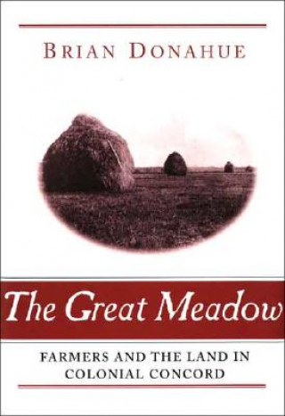 Buch Great Meadow Brian Donahue