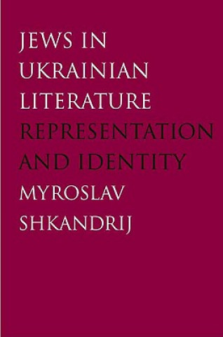 Könyv Jews in Ukrainian Literature Myroslav Shkandrij