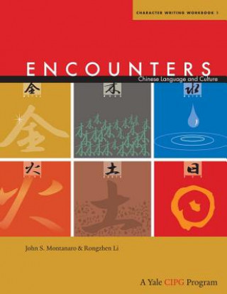 Книга Encounters Cynthia Y. Ning