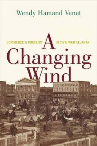 Книга Changing Wind Wendy Hamand Venet