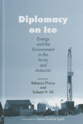 Livre Diplomacy on Ice Rebecca Pincus