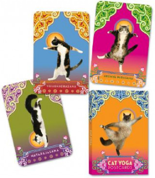 Nyomtatványok Cat Yoga Postcards Rick Tillotson