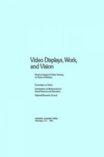 Video Displays, Work, and Vision