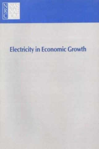 Książka Electricity in Economic Growth Committee on Electricity in Economic Growth