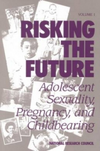 Book Risking the Future Panel on Adolescent Pregnancy and Childbearing