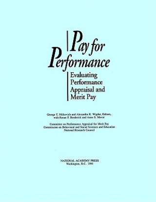 Kniha Pay for Performance Renae F. Broderick