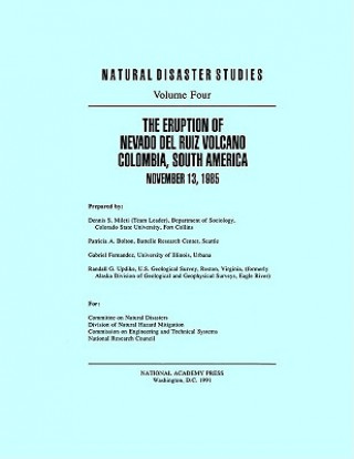 Könyv Eruption of Nevado Del Ruiz Volcano Colombia, South America, November 13, 1985 Committee on Natural Disasters