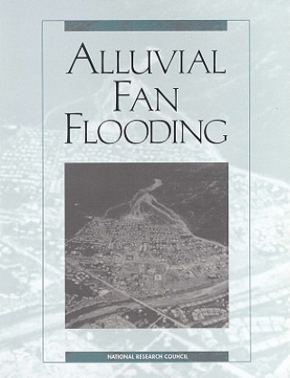 Kniha Alluvial Fan Flooding Committee on Alluvial Fan Flooding