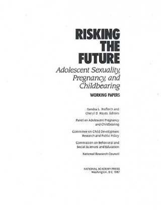 Book Risking the Future Panel on Adolescent Pregnancy and Childbearing