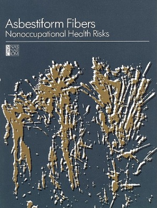 Kniha Asbestiform Fibers Committee on Nonoccupational Health Risks of Asbestiform Fibers