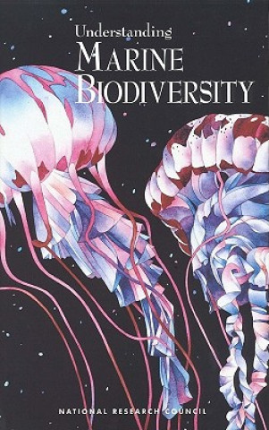 Kniha Understanding Marine Biodiversity Committee on Biological Diversity in Marine Systems