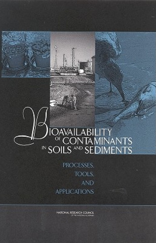 Kniha Bioavailability of Contaminants in Soils and Sediments Committee on Bioavailability of Contaminants in Soils and Sediments