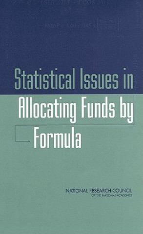 Könyv Statistical Issues in Allocating Funds by Formula Panel on Formula Allocations