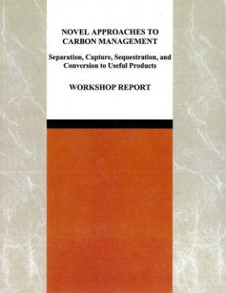 Książka Novel Approaches to Carbon Management Committee on Novel Approaches to the Management of Greenhouse Gases from Energy Systems