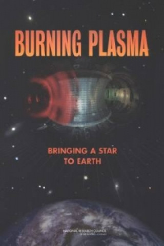Kniha Burning Plasma Burning Plasma Assessment Committee