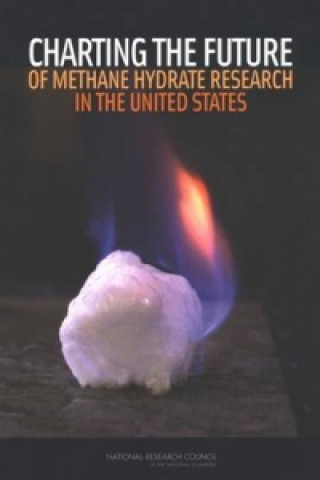 Книга Charting the Future of Methane Hydrate Research in the United States Committee to Review the Activities Authorized under the Methane Hydrate Research and Development Act of 2000