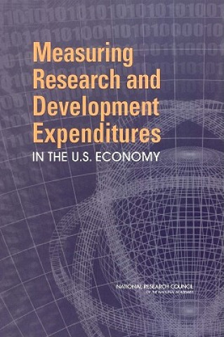 Kniha Measuring Research and Development Expenditures in the U.S. Economy Panel on Research and Development Statistics at the National Science Foundation