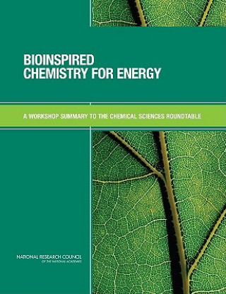Kniha Bioinspired Chemistry for Energy Chemical Sciences Roundtable