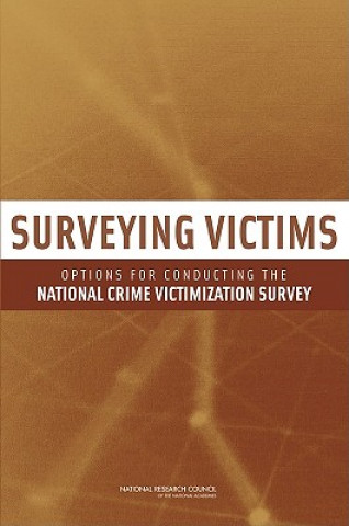 Libro Surveying Victims Panel to Review the Programs of the Bureau of Justice Statistics