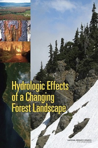 Könyv Hydrologic Effects of a Changing Forest Landscape Committee on Hydrologic Impacts of Forest Management
