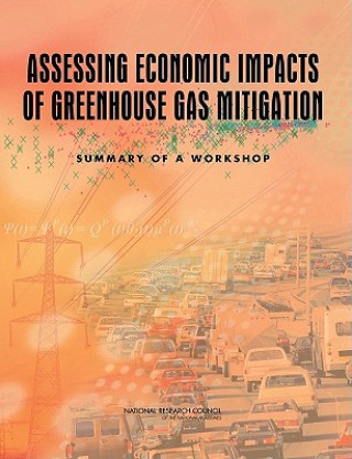 Knjiga Assessing Economic Impacts of Greenhouse Gas Mitigation Board on Energy and Environmental Systems