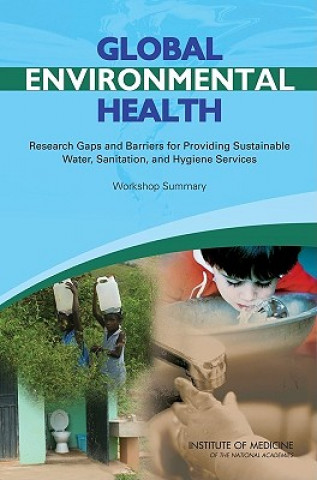 Книга Global Environmental Health Roundtable on Environmental Health Sciences