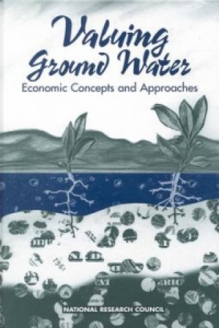 Kniha Valuing Ground Water Committee on Valuing Ground Water